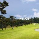 BA비스타CC 이미지