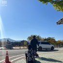 르만트럭 | [고성공룡세계엑스포] 공룡좋아하는 친구들아 모여라!!~온종일 놀다 온 후기!