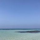 세모커피