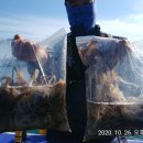 나라3호 이미지