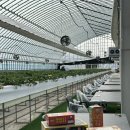 신안1호농장 이미지