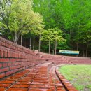 봉학골산림욕장 이미지