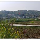 간드리집 이미지