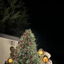 백림스테이 이미지