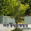 에어컨, 난로 걱정 없는 캠핑? 제천 몽상핀캠핑장 솔직 후기