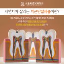 서울더바른치과의원 이미지