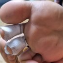 수아로피부과의원 이미지