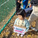 (주)캠프닉놀이터 이미지