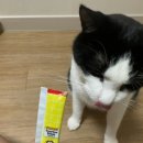 (주) 팻맨 이미지