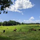 성도목장 | 목장의 안식일