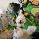 우리 아이 사회성 플러스 이미지