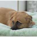 라라농장 이미지