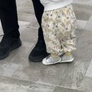 스타위즈 | 미니위즈 위즈스타 실버 120 사이즈 돌아기 걸음마 첫신발 후기