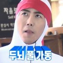 도기펫-수입 네이버블로그
