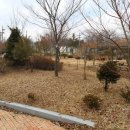 화령중학교 이미지