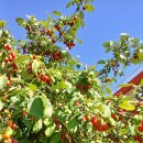 창북초교 이미지