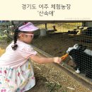 제이농장 | 경기도 여주 먹이주기 체험농장 산속애 아이와 가볼만한 곳 추천