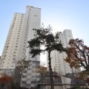 아름동_범지기1101동앞 네이버블로그