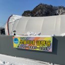 서울근교 포천애견글램핑 추천 개별테라스 쏘쿨이네글램핑
