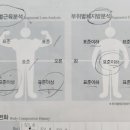 미도핏 이미지