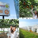 이화파크 이미지