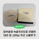 샤이닝 | [대라] 캉 샤이닝 쿠션 사용 후기 피부 속광으로 하루 종일 반짝이는 물광 피부 만들기