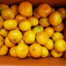 호평할인마트 이미지