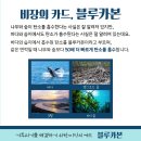 블루사이언스