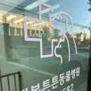 운정튼튼동물병원 이미지