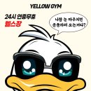 옐로우 짐 이미지