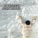 국가대표주유소 - 광산구 | 강원도 대관령눈꽃축제 눈안오는날 방문 후기 눈썰매장 주차 꿀팁