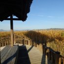 토지의 감정평가 규정에 대하여 일반감정소개 [출처] 토지의 감정평가 규정에 대하여|작성자 hsc6055 이미지