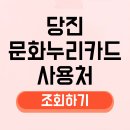 당진문화누리 | 당진 문화누리카드 사용처 조회 찾기, 가맹점 잔액 조회 자동재충전까지