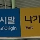 꿀댕 이미지