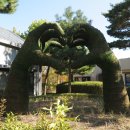 옥구공원 이미지