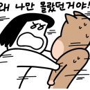전가네왕족발 - 창원시 의창구 남산로27번길 14 | 전가네왕족발