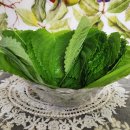 GS25금산추부점 | 추부깻잎 효능과 빈혈 예방｜무농약 국내산 후기, 일반깻잎 차이 비교