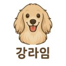 어야어야 | 📍 광교 디저트 카페 추천 :: 어야커피 방문기 (내돈내산)