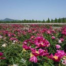 고바우펜션2 이미지