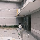 영월군 가족센터 이미지