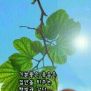 나주설렁탕 - 군포시 산본로323번길 16-12 | 나주설렁탕
