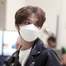 숲속의향기 이미지