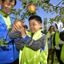 금대농장 이미지