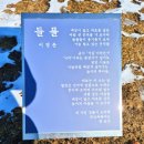 박봄심「소양강 안개 이미지