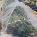 방축골농장 이미지