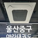 국가대표 아라태권도 이미지