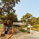 산막이옛길 주차장 이미지