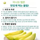 허니듀 | 고당도에 부드러운 식감 허니듀 메론 솔직후기