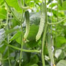 오이축산 이미지