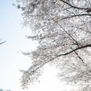 노작호수공원 네이버블로그